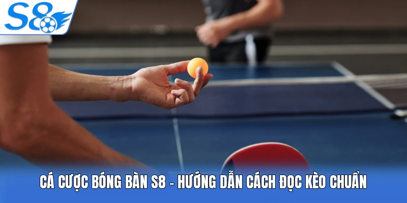 Cá Cược Bóng Bàn S8 - Hướng Dẫn Cách Đọc Kèo Chuẩn