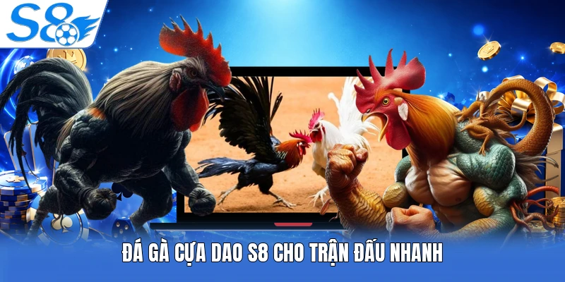 Đá gà cựa dao S8 cho trận đấu nhanh