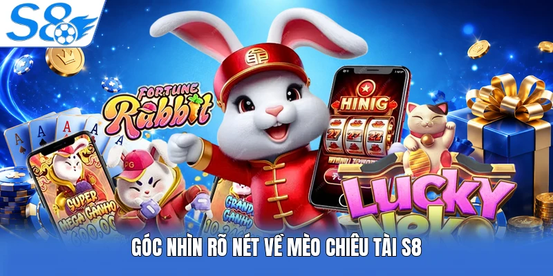 Góc nhìn rõ nét về mèo chiêu tài S8