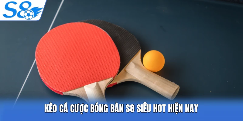 Kèo cá cược bóng bàn S8 siêu hot hiện nay