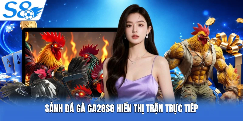 Sảnh đá gà Ga28 S8 hiển thị trận trực tiếp